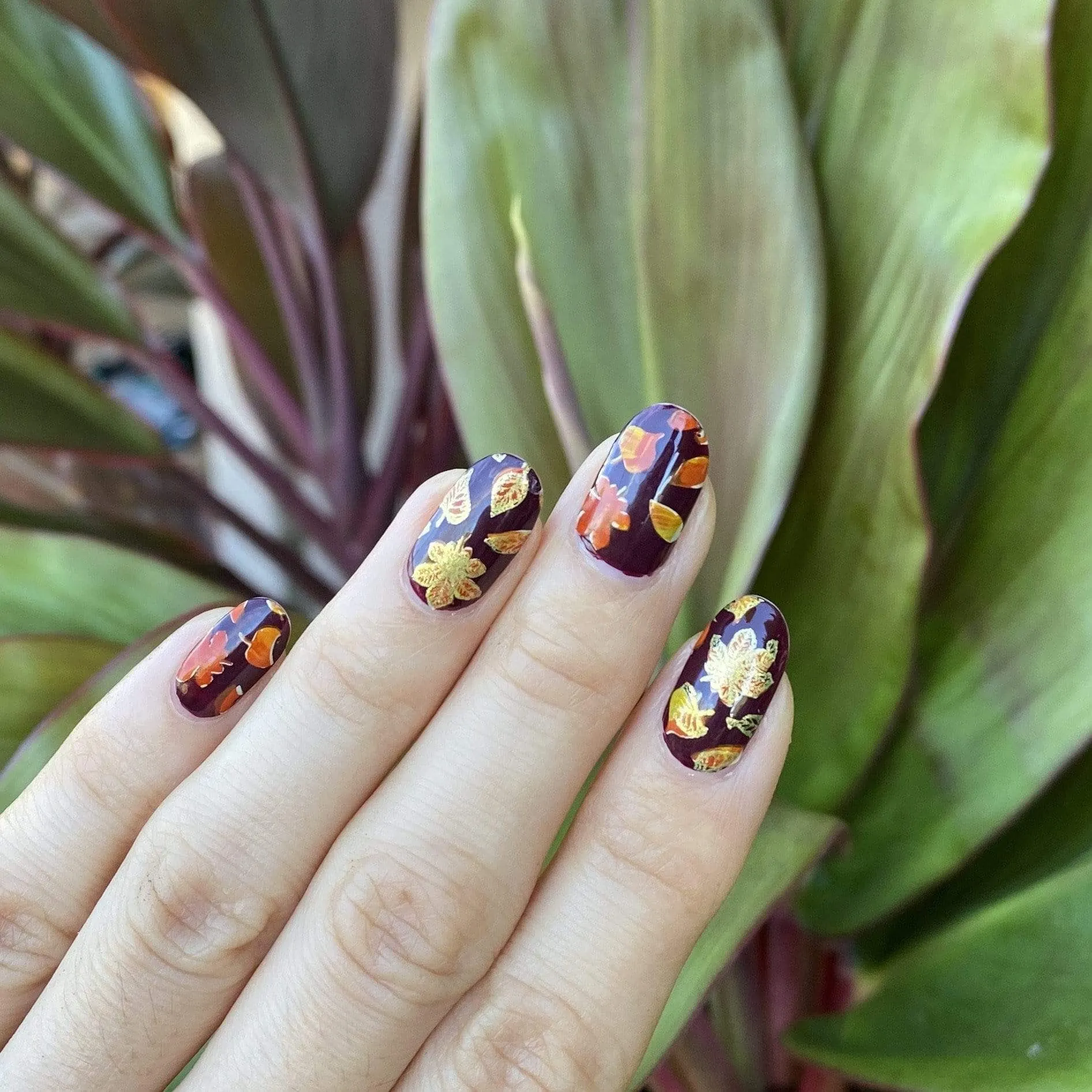 Fall Layers:  Cozy Campsite (m076) - Nail Stamping Plate