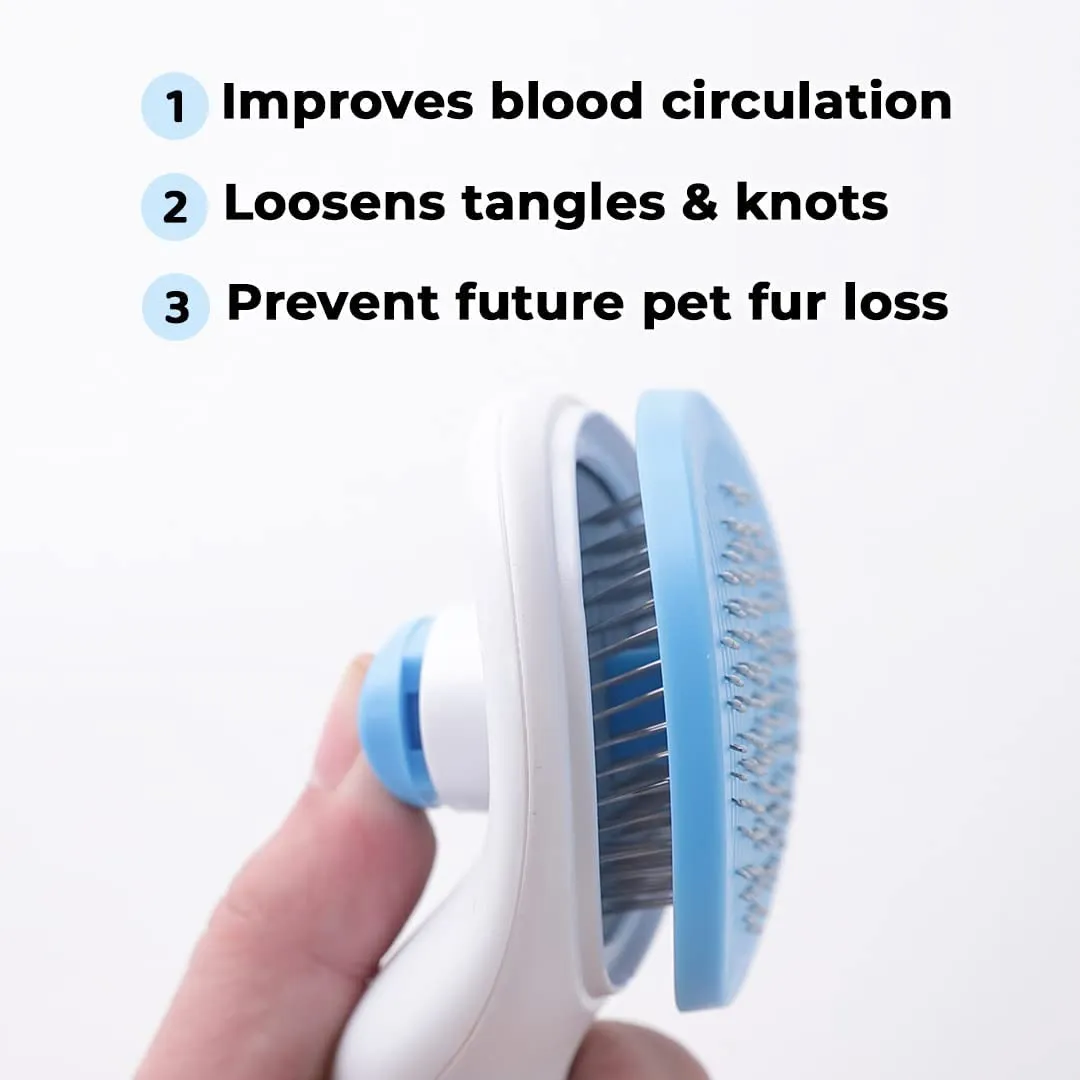 Kuber Industries Dog Brush|Dog Brush for Hair Cleaning|De-tangling|& Grooming|Helps Prevent Fur Loss Upto 90% by Increasing Blood Circulation|Suitable for Small & Medium Pets|PT213B|Pack Of 4|Blue