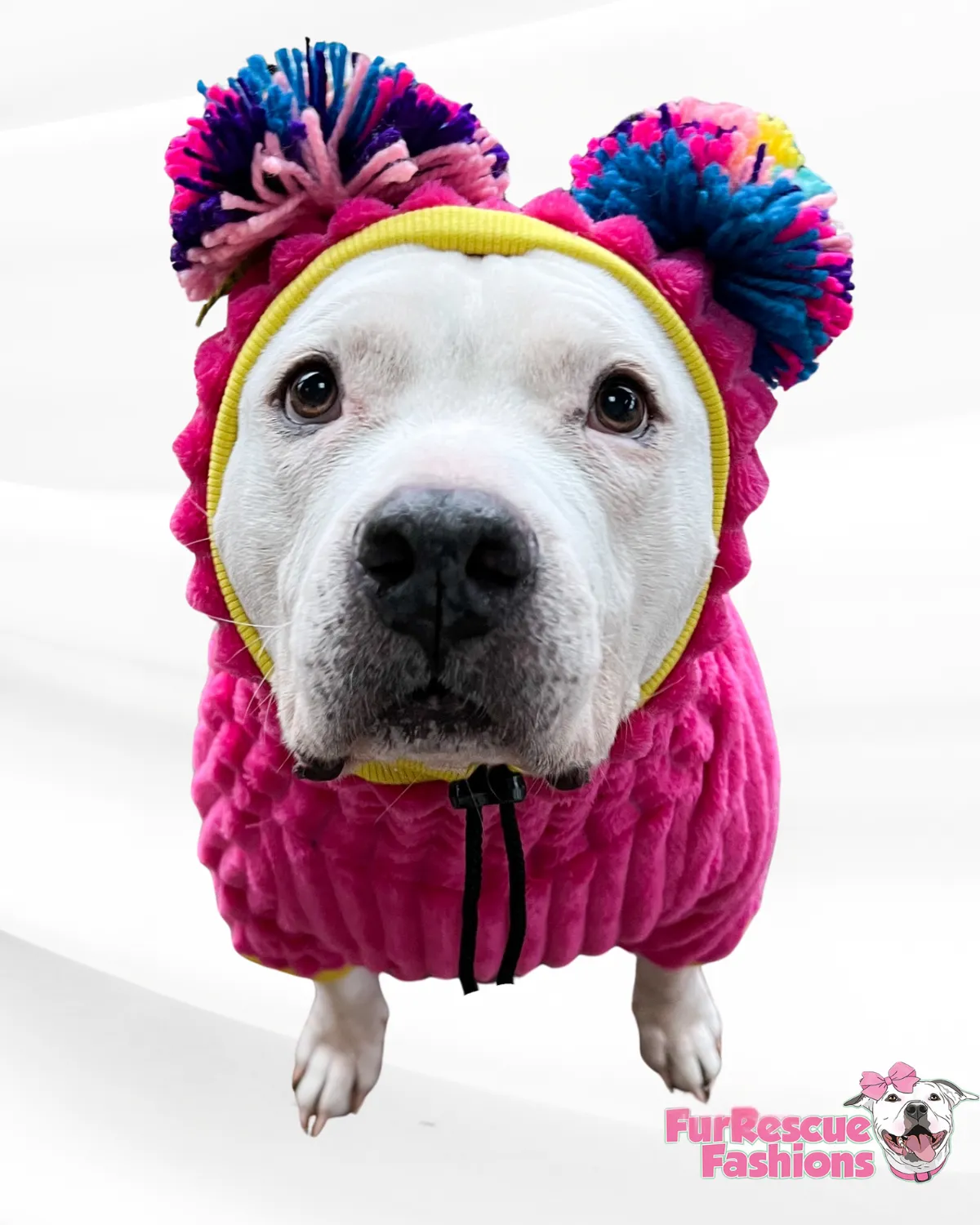 Solid Color Dog Sweater with Long Pompom Snood - AVAILABLE IN DIFFERENT COLORS