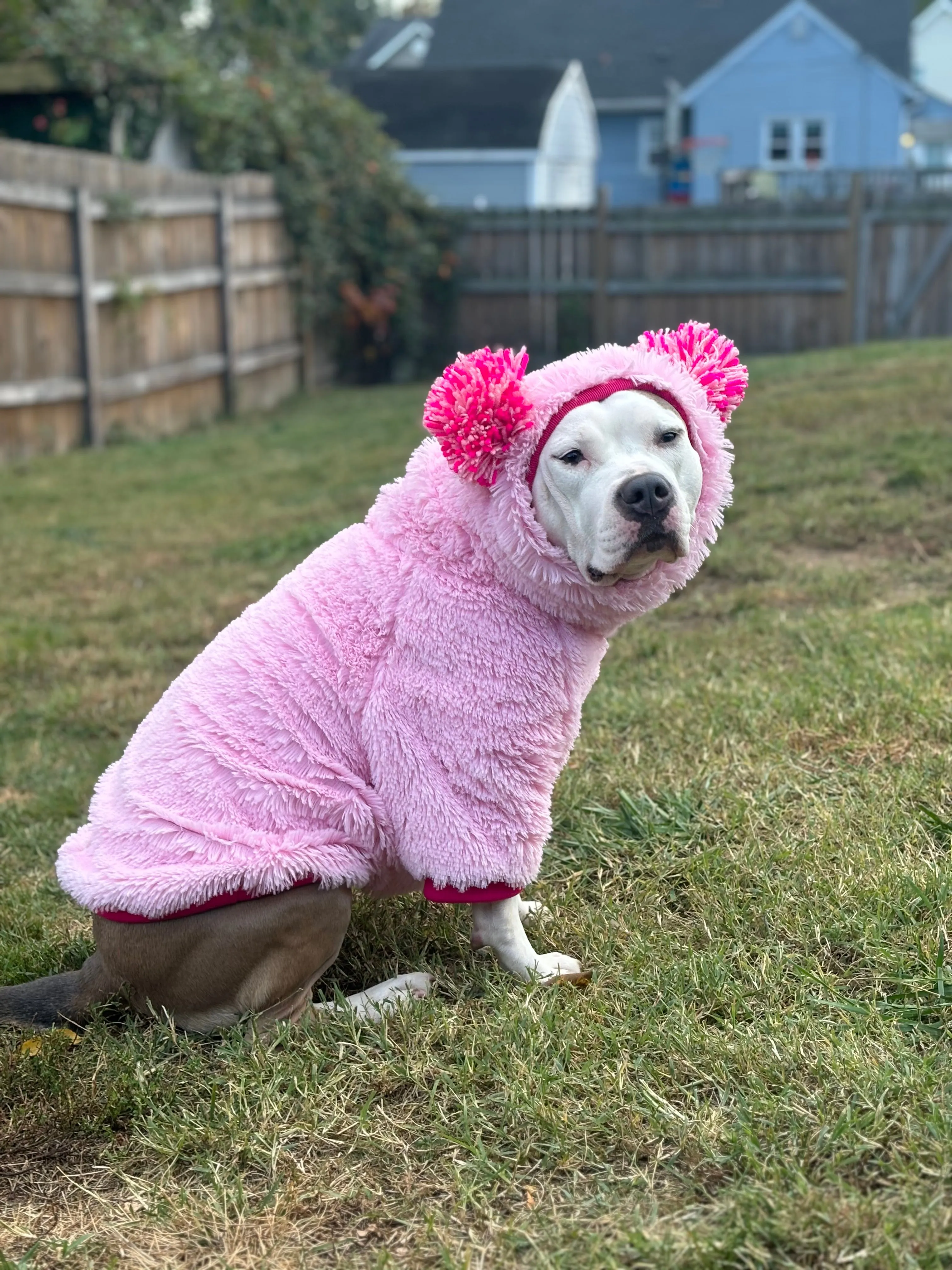 Solid Color Dog Sweater with Long Pompom Snood - AVAILABLE IN DIFFERENT COLORS