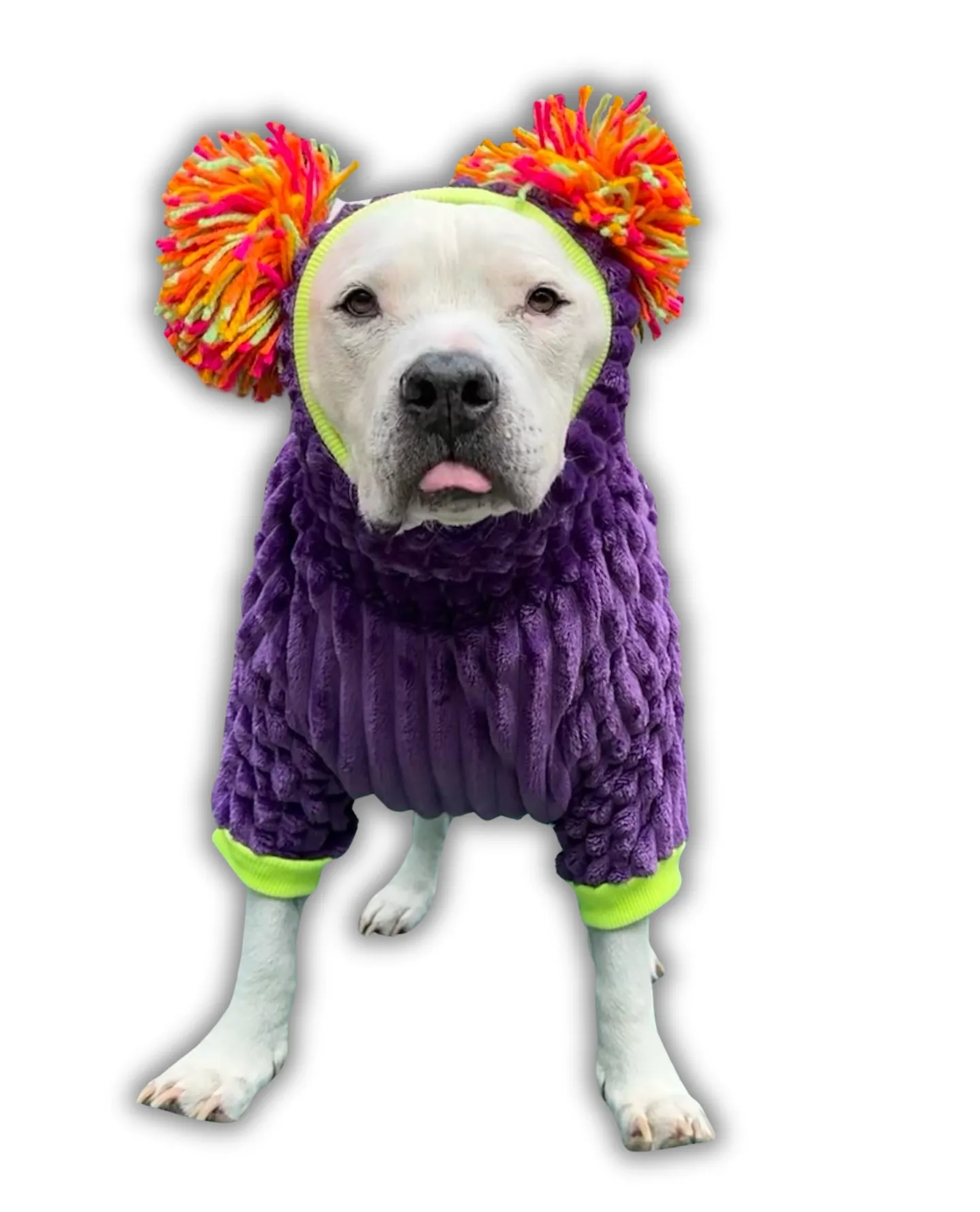 Solid Color Dog Sweater with Long Pompom Snood - AVAILABLE IN DIFFERENT COLORS